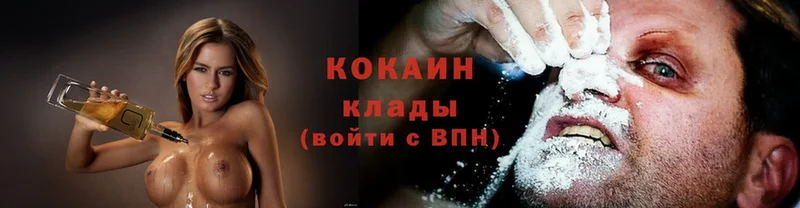 Cocaine FishScale  где продают наркотики  Борзя 